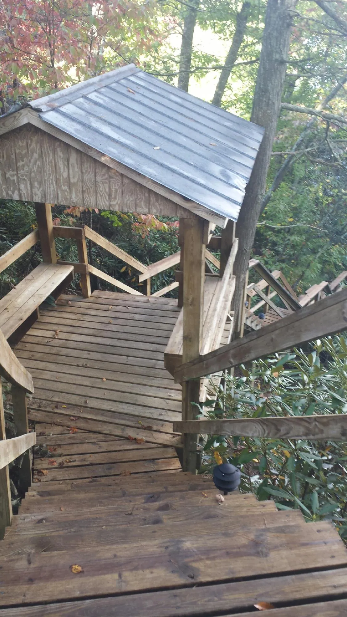 Metal roofed shelter over wooden steps on a wooded walkway — Skylight Repair & Installation work by our crew in Bronson